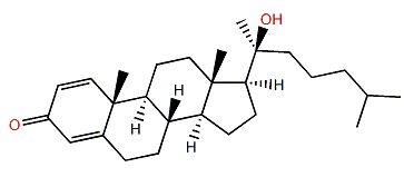 Astrogorgol N